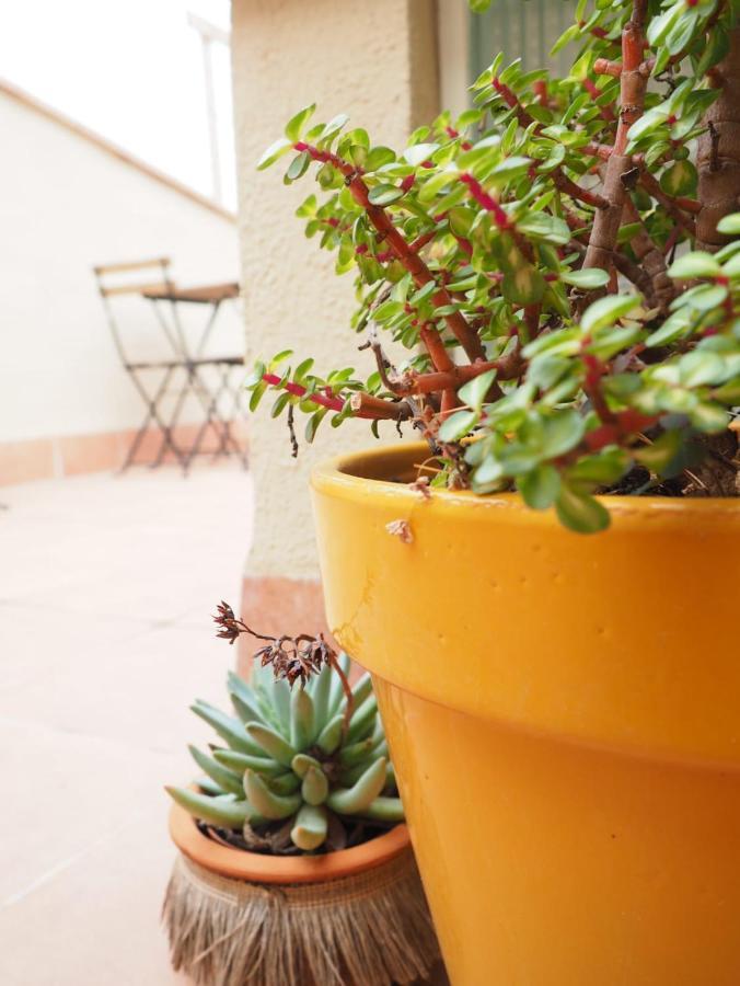 Apartaments La Rambla - Espero De Bolos - 4 Pers Cornudella de Montsant Exterior foto